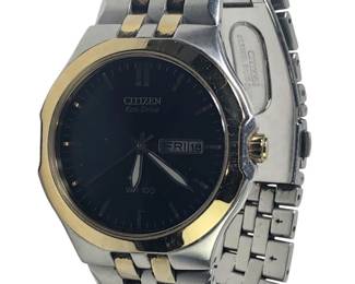 Citizen Eco-Drive WR 100 Two Tone Men’s Watch