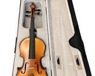 Cecilio Solidwood Violin and Case— Model CVA-500