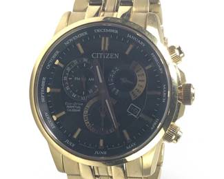 Citizen Eco-Drive Perpetual Calendar Men’s Watch