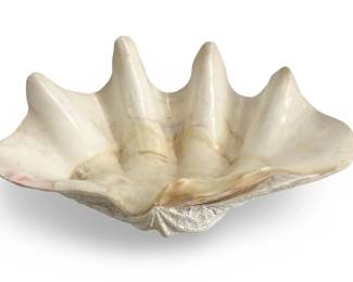 Large Cast Clam Shell Bowl