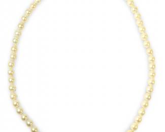 Outstanding 10KT Yellow Gold Clasp Pearl Necklace