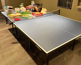 Ping Pong Table