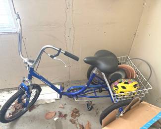 Three Wheeled Bike