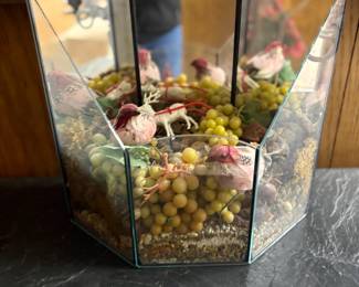 . . . terrarium