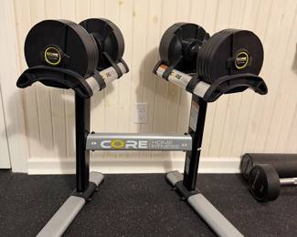 Core adjustable weights with stand 