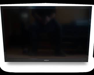 Insignia Flat Screen Television