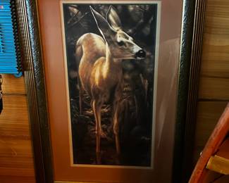 . . . doe photo