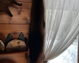 . . . another pelt