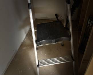 . . . step ladder