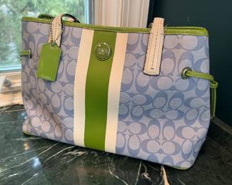 Coach Signature Stripe Carryall Tote in Blue & Green