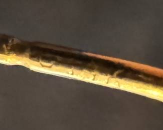 14K Gold & Topaz Earrings