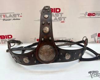 13  Sterling Silver Breast Collar 