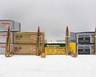 1196  3006 Spring Ammo 