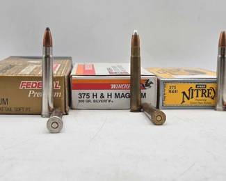 1198  375 HH Magnum Ammo 