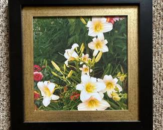 This is a framed photograph featuring a cluster of white and yellow daylilies in bloom, set against a backdrop of lush green foliage and hints of red flowers. The photograph is housed in a simple black frame. The back of the frame has a handwritten inscription that reads 'Day Lily, from Carol, 7/11/17', suggesting it was a gift or a personal memento dated July 11, 2017. The style of the photograph appears to be amateur or personal, capturing a moment in nature.