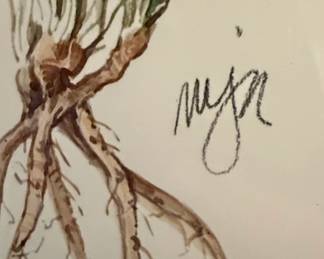 Echinacea Botanical Watercolor Prints