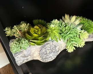 Log succulent decor