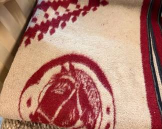 Horse camp blanket Poncho