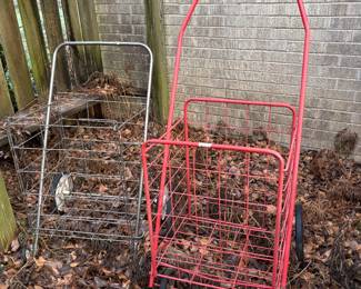 Shopping carts!  Great for Canton trips 