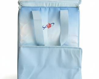 Insulated Lunch Bag with AAA Logo