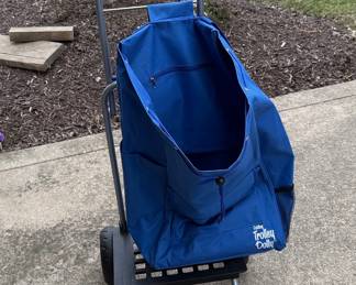 dbest products Bigger Trolley Dolly Shopping Cart