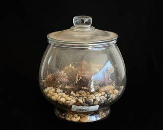 Vintage Glass Apothecary Jar with Lid