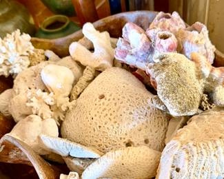 CAST IRON CLAM SHELL FULL OF AMAZING CORAL AND SHELLS.