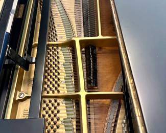 Yamaha Baby Grand available for presale $4500