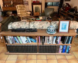 This low bookcase looks good behind a sofa.