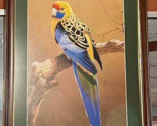 FRAMED BIRD PRINT