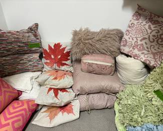 These pillows represent all seasons and can change the look of your rooms in an instant