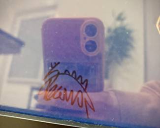 Signed Ryan Stegman Spiderman Framed Print - $15