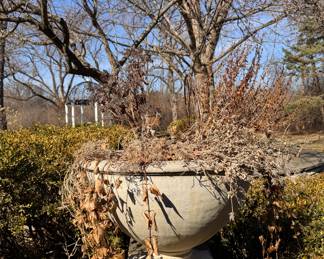 Cast Concert & Cast Iron Planters & Urns Galore! Photo 7 of 11. 