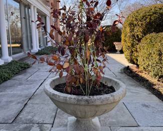 Cast Concert & Cast Iron Planters & Urns Galore! Photo 2 of 11. 