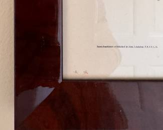 "Carolina Parrot," Vintage Audubon Print Featured in 1948/1949 Calendar. Measures 19" x 23" Overall. Photo 3 of 3. 