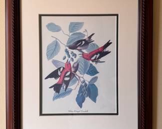 "White-Winged Crossbill" Colored Engraving. Measures 16" x 18" Overall. 