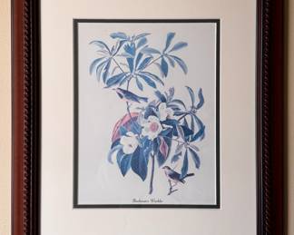 Bachman's Warbler Colored Engraving. Measures 16" x 18" Overall. 