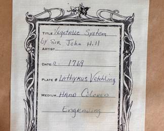 Vegetable System, Hand-Colored Engraving. Plate Lathyrus Vetchling by Sir John Hill. Circa 1769. Measures 23" x 29" Overall. Photo 4 of 4. 