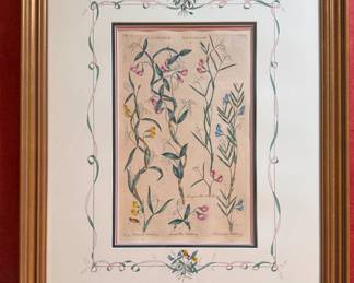 Vegetable System, Hand-Colored Engraving. Plate Lathyrus Vetchling by Sir John Hill. Circa 1769. Measures 23" x 29" Overall. Photo 1 of 4. 