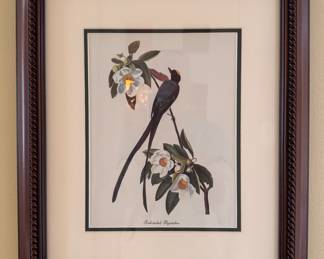 "Forked-Tailed Flycatcher," Hand-Colored Engraving. 16" x 18" Overall.