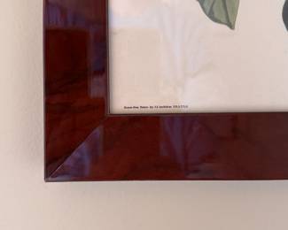 "White Crowned Pigeon," Vintage Audubon Print Featured in 1948/1949 Calendar. Measures 19" x 23" Overall. Photo 3 of 4. 