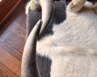 Texas Steer Horn Chair Upholstered In Cowhide. Measures 38" W x 26" D with 19" Seat Height. Photo 4 of 4. 