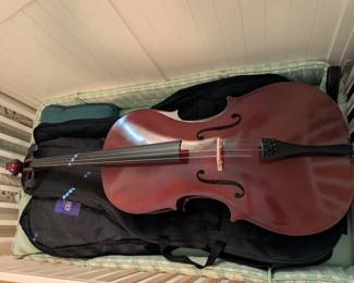 Beginner's Cello