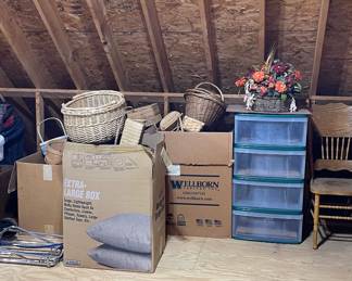 Overview - come to browse everything we have this week!