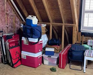 Overview - come to browse everything we have this week!