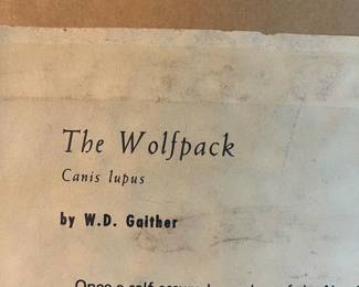 C33 - $25. "The Wolfpack" Print by W. D. Gaither. Measures 25" x 21" framed. 