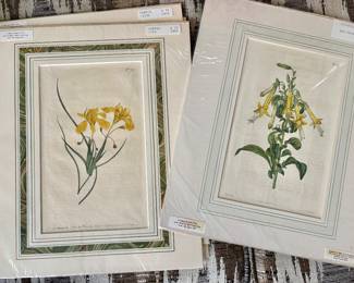Antique Botanicals with COA