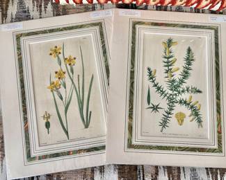 Antique Botanicals with COA