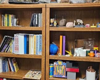 Book Selves with Dinosaur Bones & Creation Books etc 