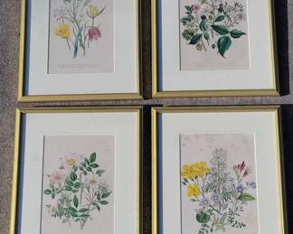 011 Handcolored Antique Botanical Prints